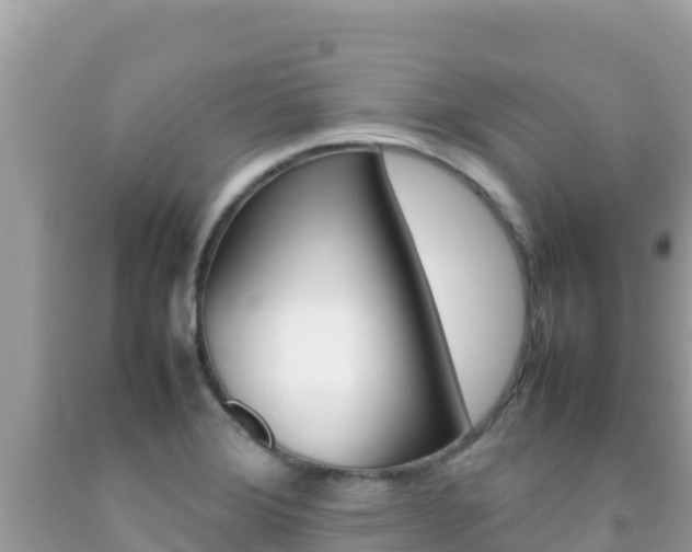 X0000092231372200709140933