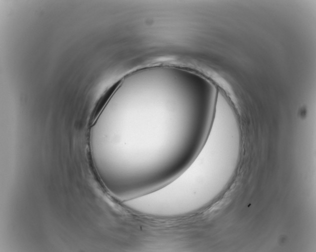 X0000092231373200709140933