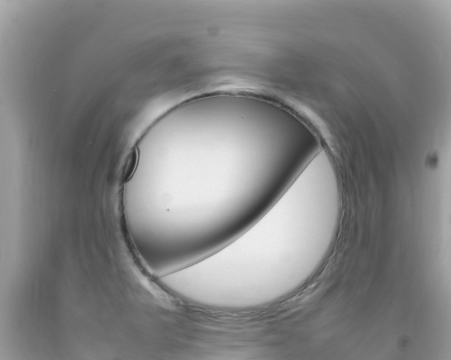 X0000092231375200709140933