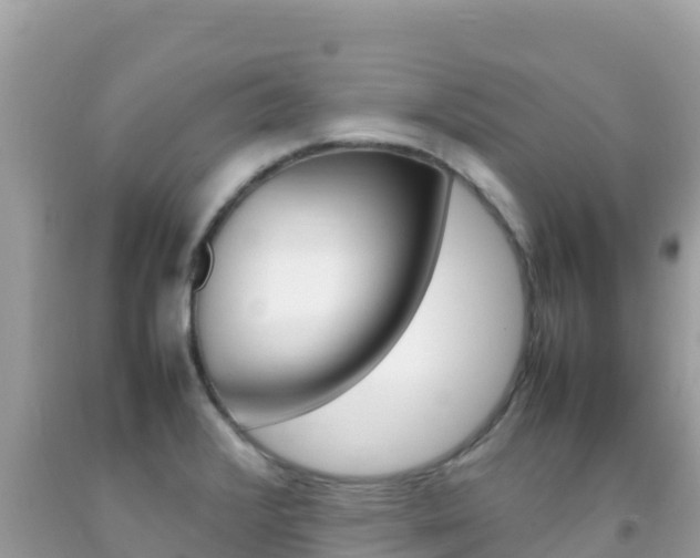 X0000092231376200709140933