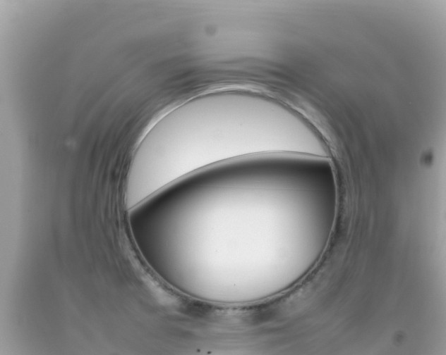 X0000092231377200709140933