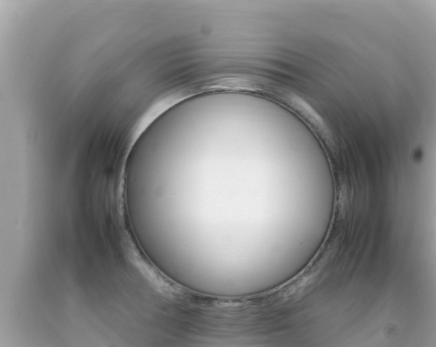 X0000092231378200709140933