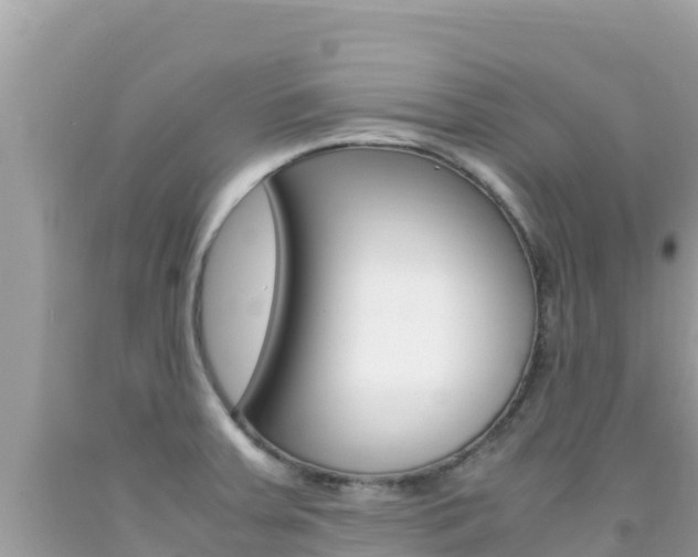 X0000092231379200709140933