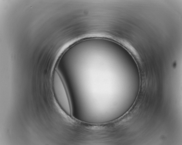 X0000092231380200709140933