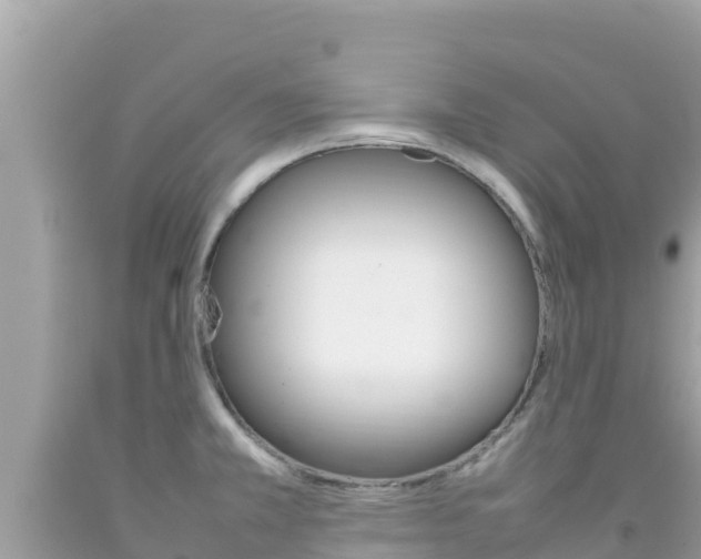 X0000092231381200709140933