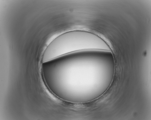 X0000092231383200709140933