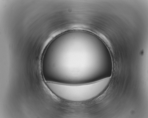 X0000092231384200709140933