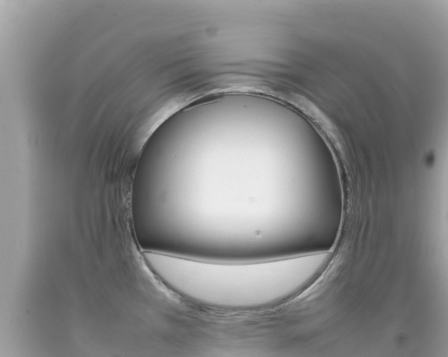 X0000092231385200709140933