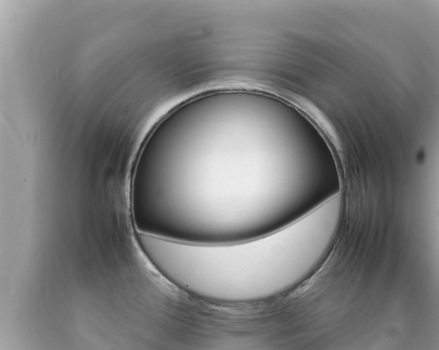 X0000092231388200709140933