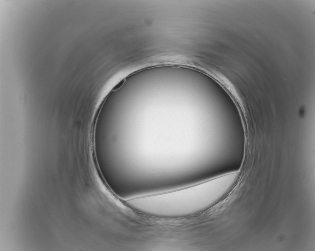 X0000092231389200709140933