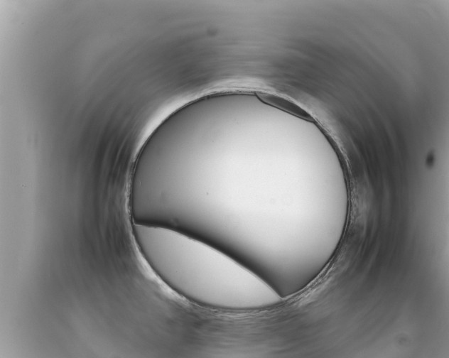 X0000092231390200709140933