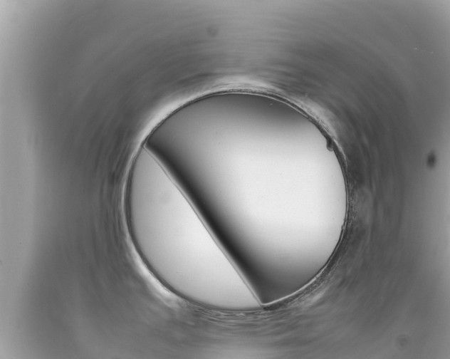 X0000092231391200709140933