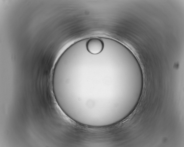 X0000092231392200709140933