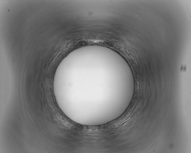 X0000092231393200709140932