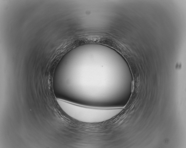 X0000092231394200709140932