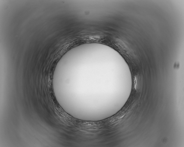 X0000092231395200709140932