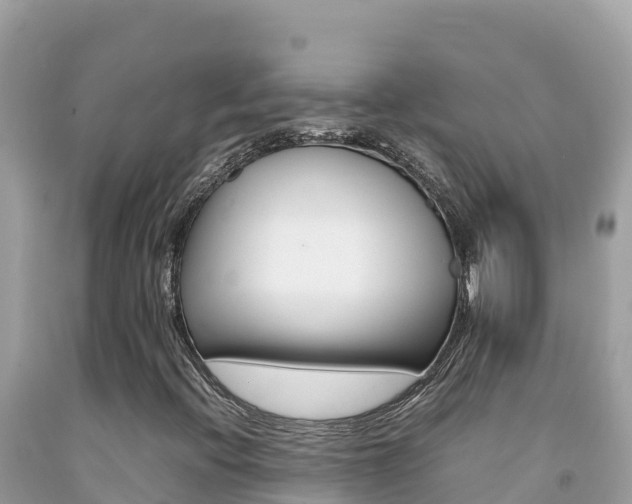 X0000092231396200709140932