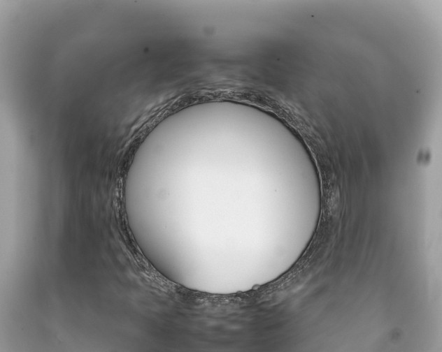X0000092231397200709140932