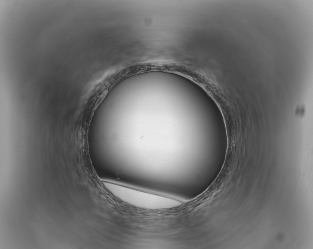 X0000092231398200709140932