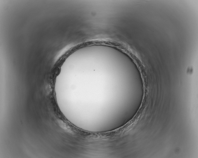 X0000092231400200709140932