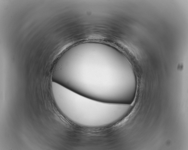 X0000092231401200709140932
