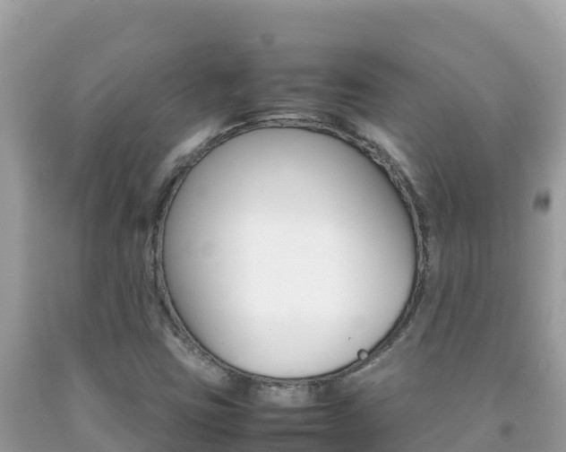 X0000092231403200709140932