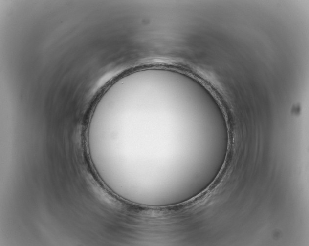 X0000092231404200709140932