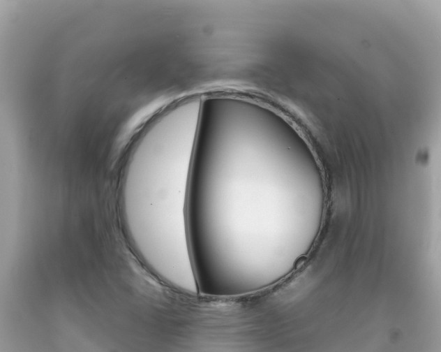 X0000092231406200709140932