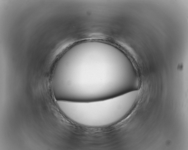 X0000092231407200709140932