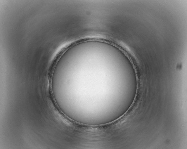 X0000092231408200709140932
