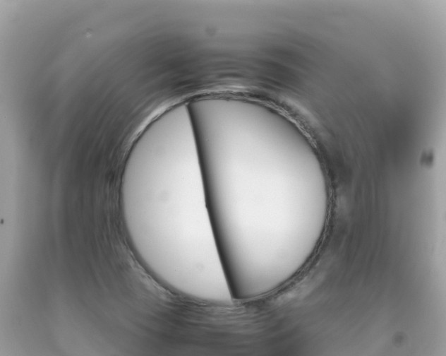 X0000092231409200709140932