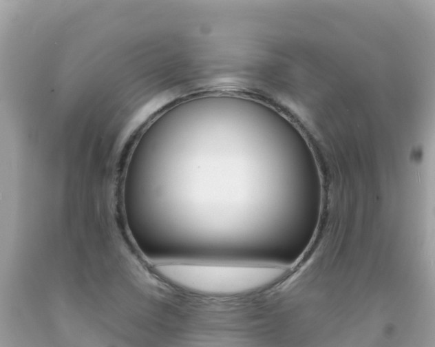 X0000092231410200709140932