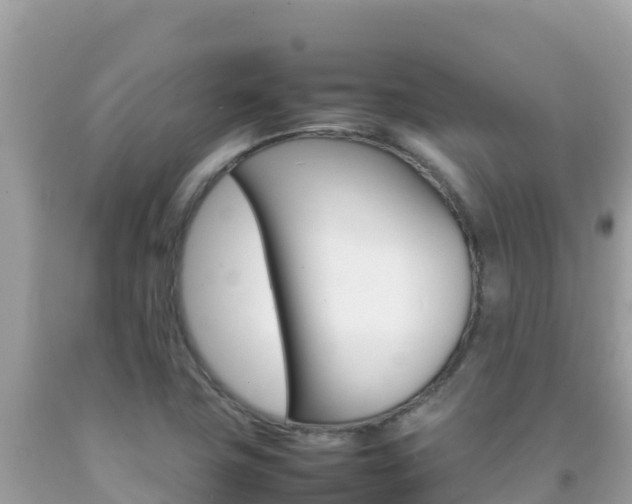 X0000092231411200709140932