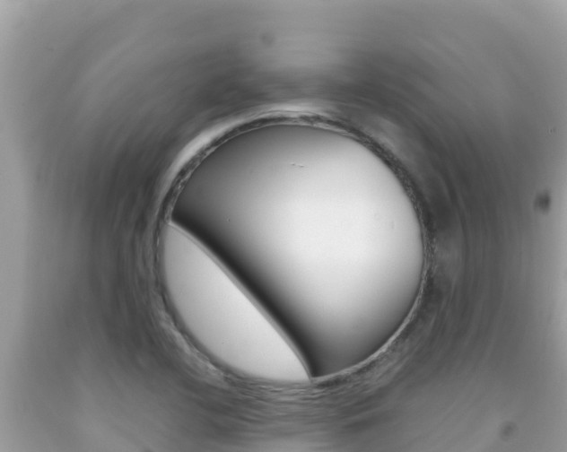 X0000092231412200709140932