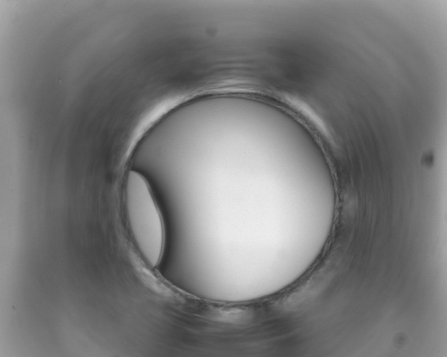 X0000092231413200709140932