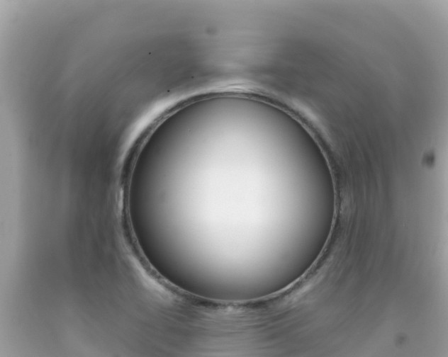 X0000092231414200709140933