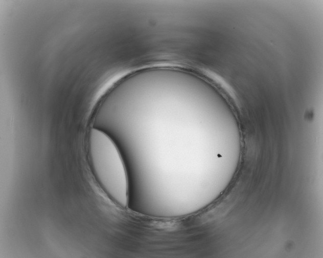 X0000092231415200709140933