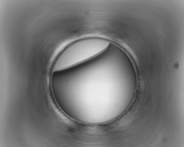 X0000092231416200709140933