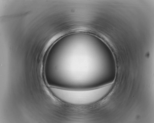 X0000092231418200709140933