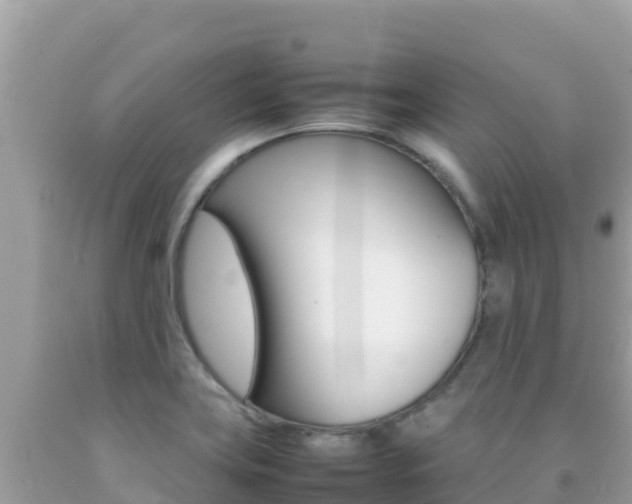 X0000092231419200709140933