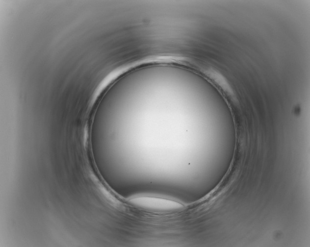 X0000092231420200709140933