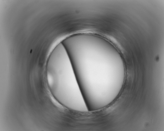 X0000092231421200709140933