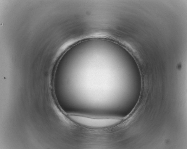 X0000092231422200709140933