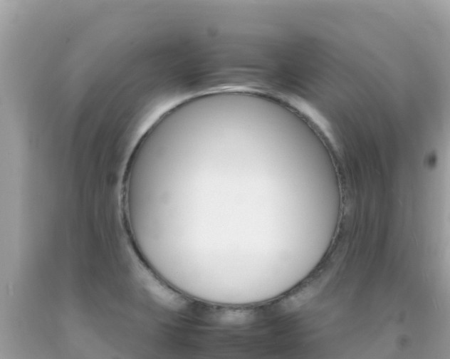 X0000092231423200709140933
