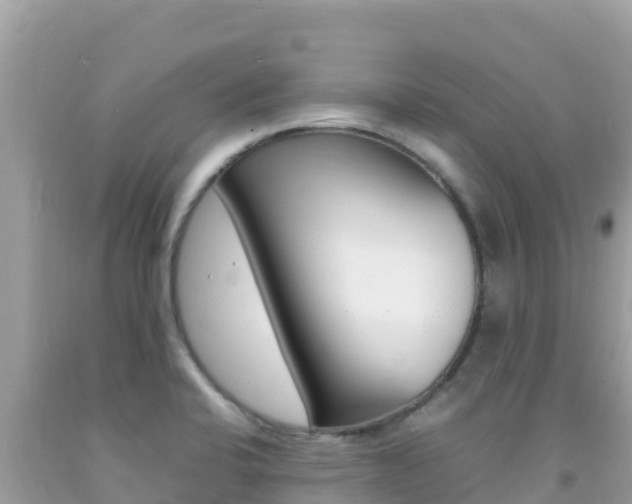 X0000092231424200709140933