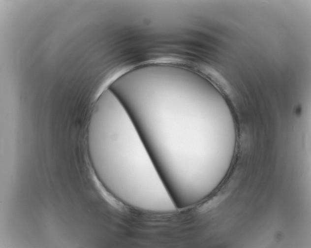 X0000092231425200709140933