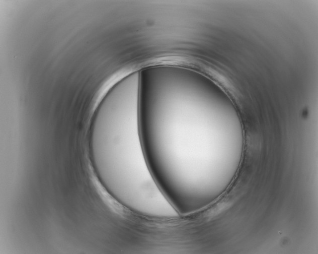 X0000092231426200709140933