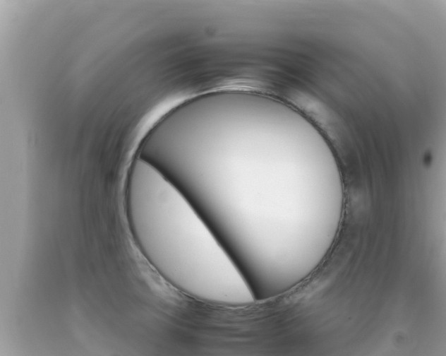 X0000092231427200709140933