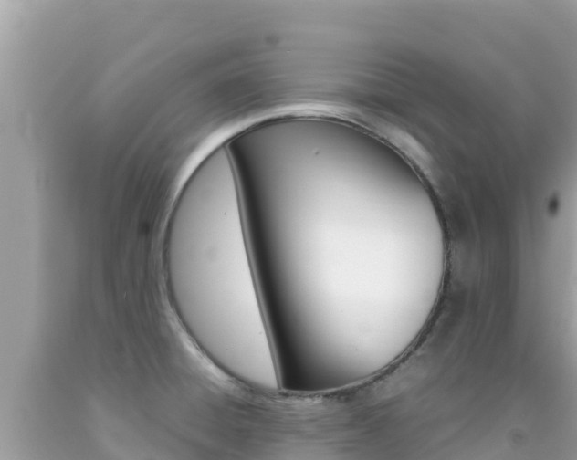 X0000092231428200709140933