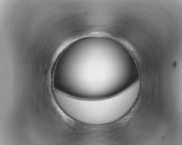 X0000092231430200709140933